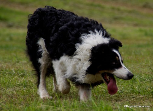 Foto: Ragnhild Jacobsen